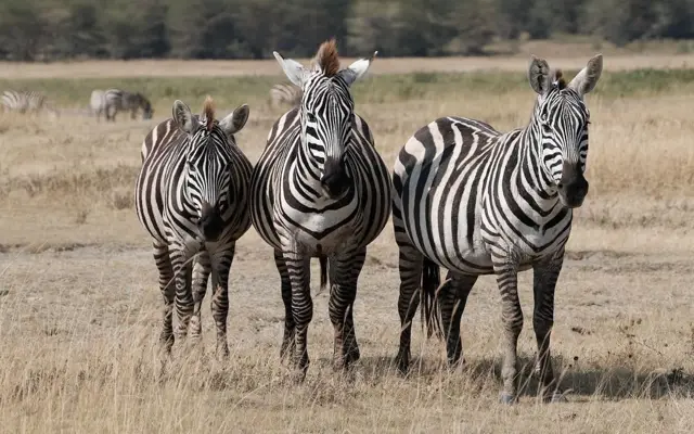 Arusha National Park